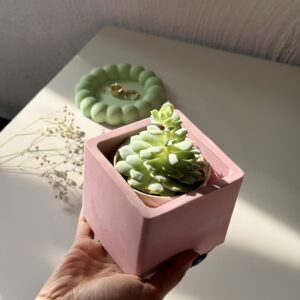 Large Square Planter / Penstand