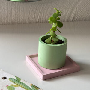 Small Cylindrical Planter/ Penstand