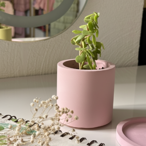 Large Cylindrical Planter/ Penstand