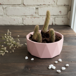 Succulent Garden Planter / Storage Bowl